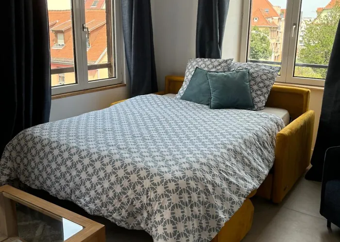 Eden Classer 3 Etoiles Кольмар